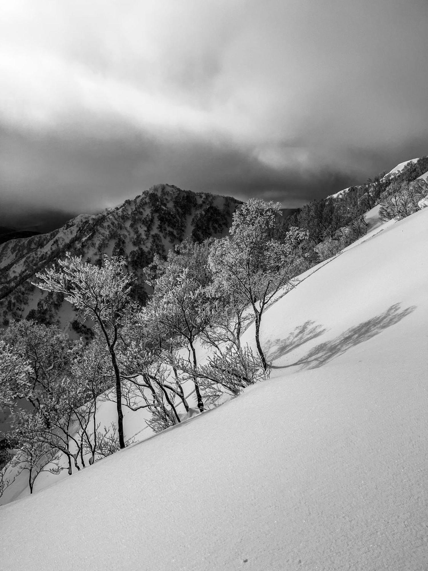 The Bohemians' Shelter Vandrarhem Hakuba Exteriör bild